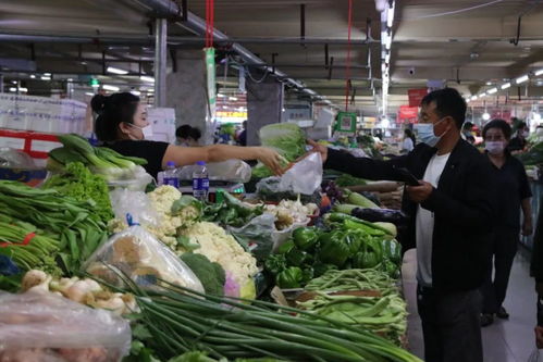 我市農(nóng)副產(chǎn)品及醫(yī)藥消殺用品貨足價(jià)穩(wěn)供應(yīng)平穩(wěn)